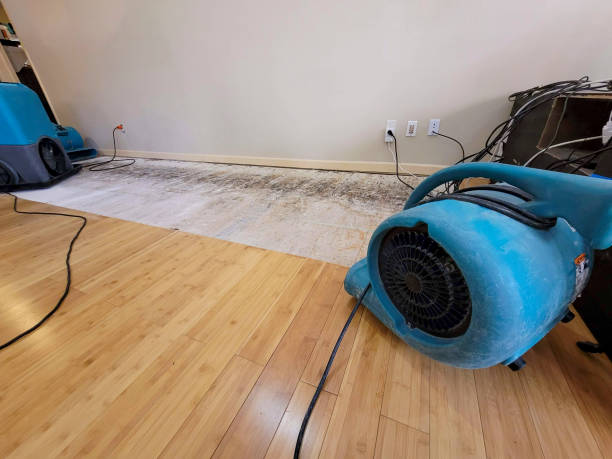 Professional Sewage Cleanup technician working in Atlantic, NC